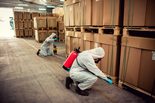 Best Best Pest Control Companies  in Worthington, KY