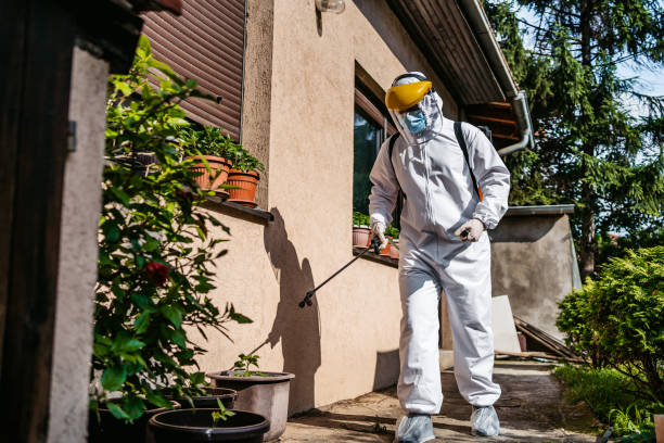 Best Pest Prevention Services  in Worthington, KY