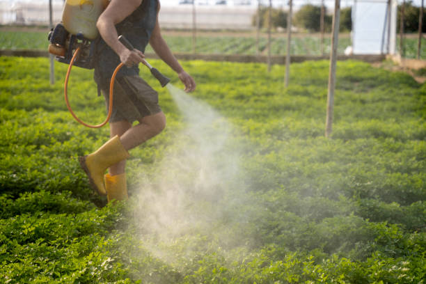 Best Insect Control  in Worthington, KY