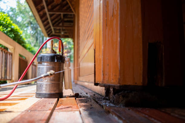 Best Local Pest Control Services  in Worthington, KY