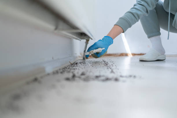 Best Pest Control Near Me  in Worthington, KY