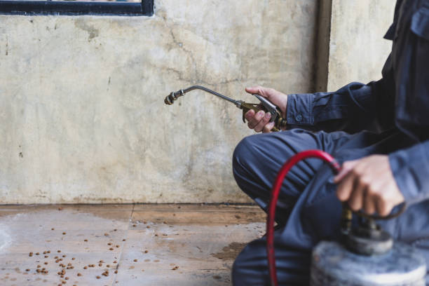 Best Pest Prevention Services  in Worthington, KY
